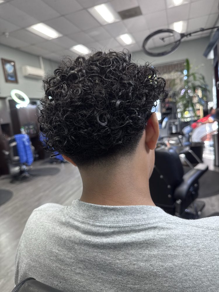Back of a fresh low taper with curly hair on top, in the chair at Lexo's Barber Studio